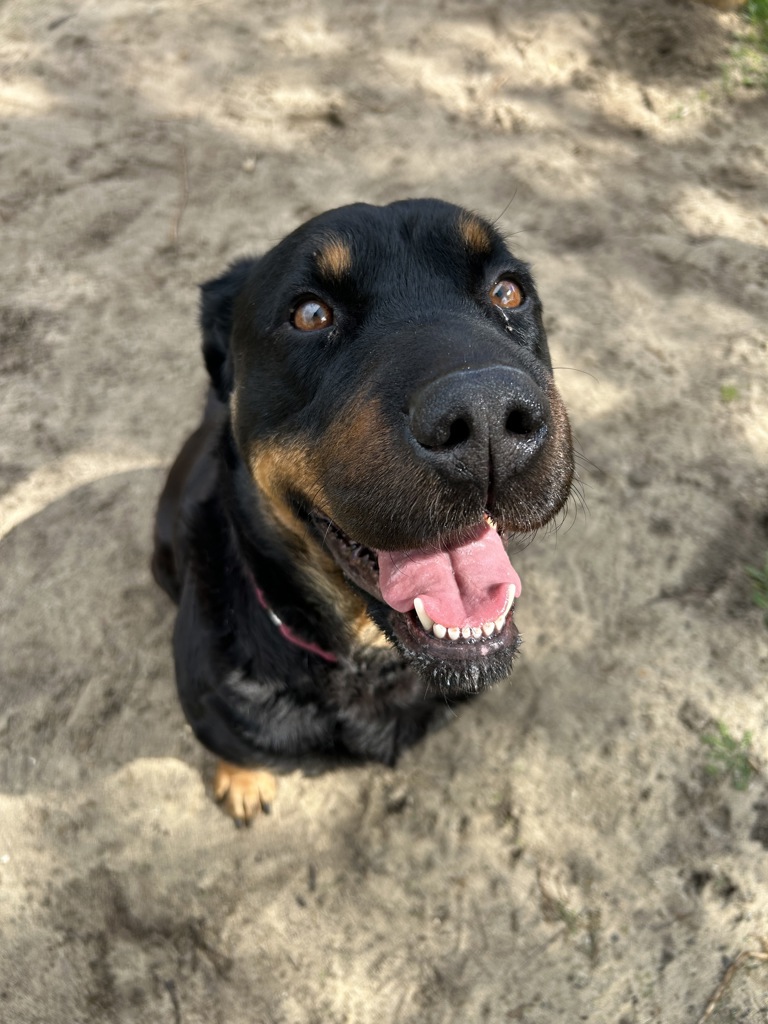 Cleo