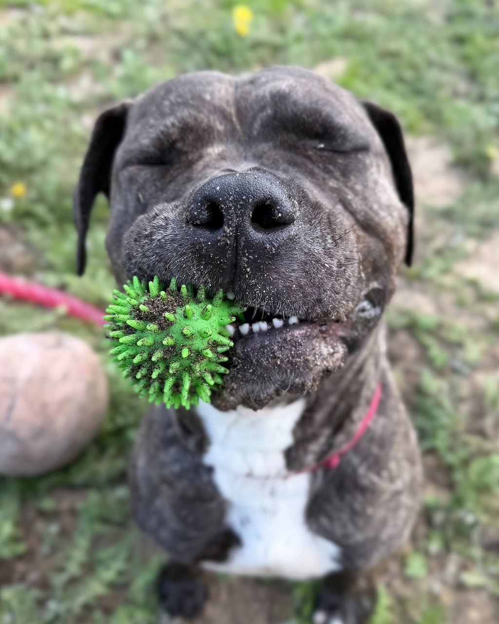Tilly