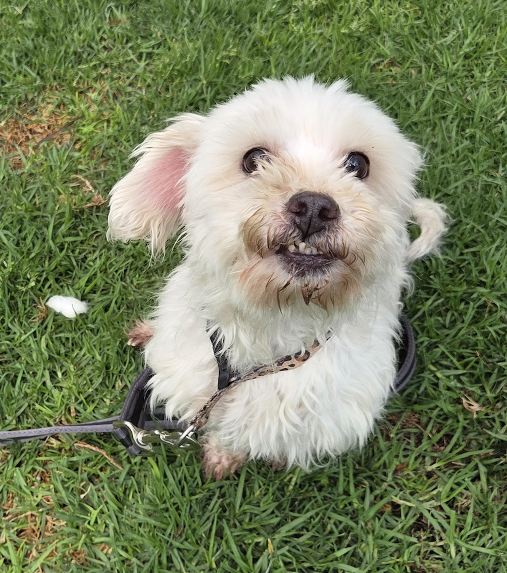 Coco