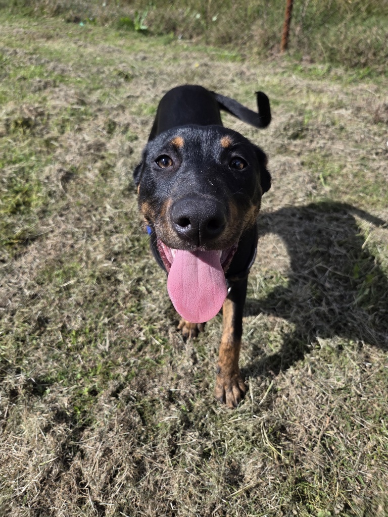 Luna