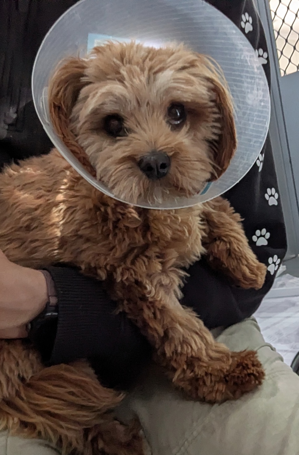 Charlie
