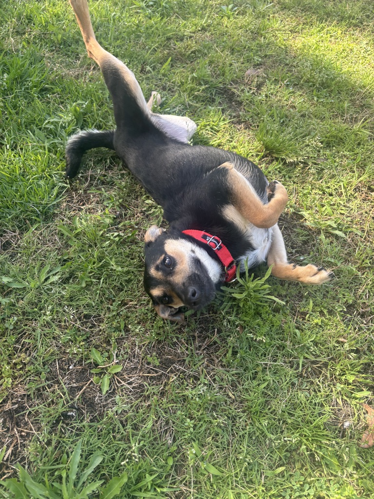 Samantha